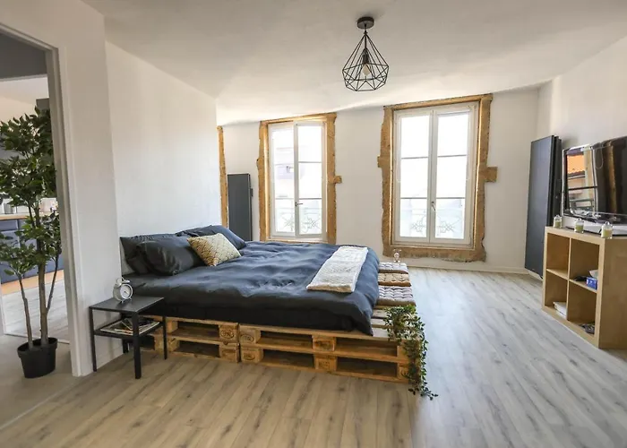 Grand Studio Tout Confort Au Coeur Du Centre Ville